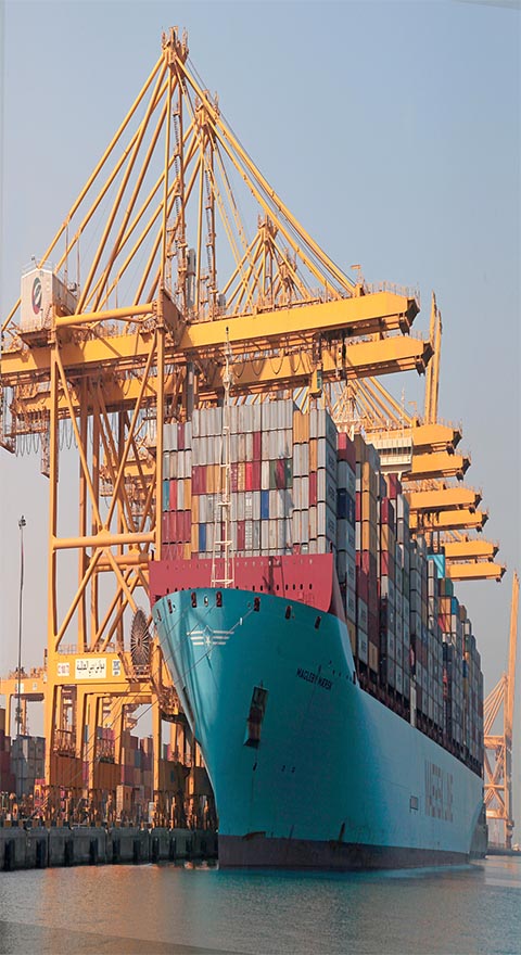 Ships at Jebel Seaport near to Warehouses and Industrial Plots